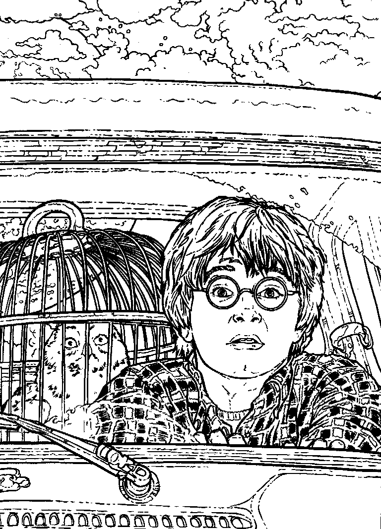 Plansa de colorat cu Harry Potter 196 108